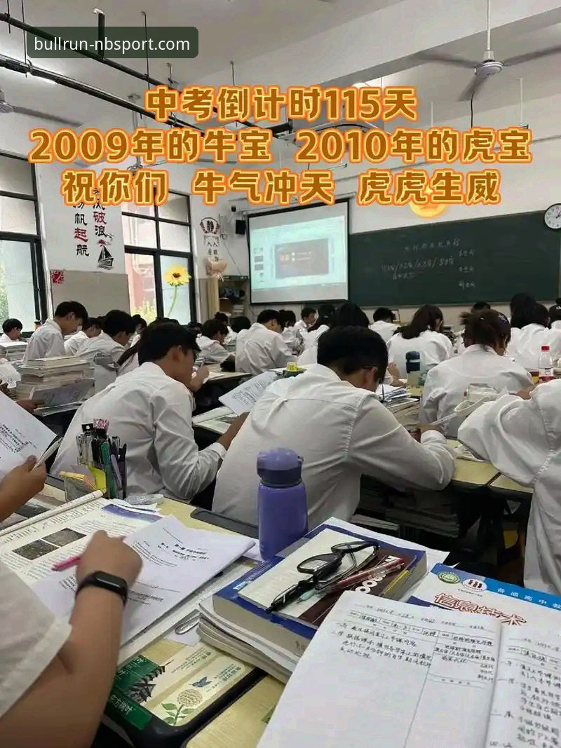 牛宝体育平台深度解析：版本特性与用户真实体验